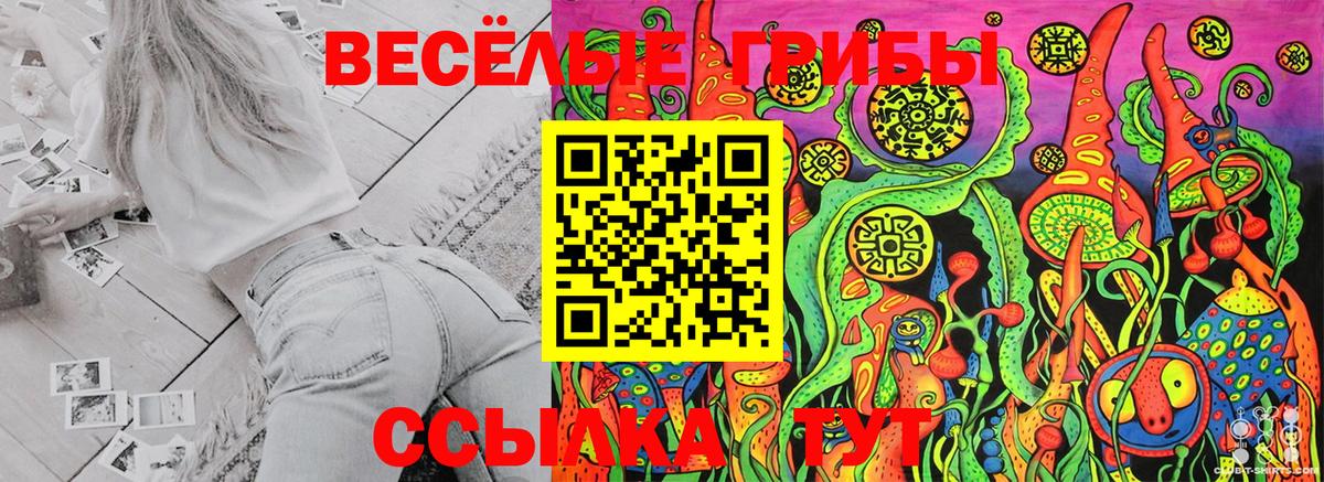 Псилоцибиновые грибы ЛСД  Псилоцибиновые грибы MAGIC MUSHROOMS  Елабуга  Вход с VPN 